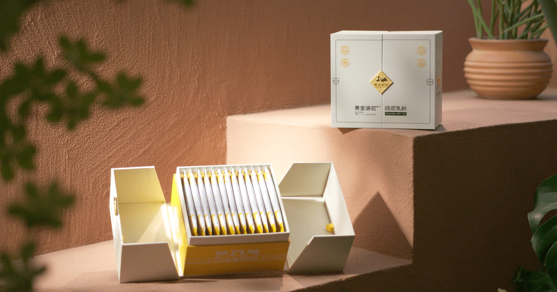 定位小众高端乳粉，AG亚娱推出驼奶品牌“黄金骆驼+”，角逐乳品新市场！